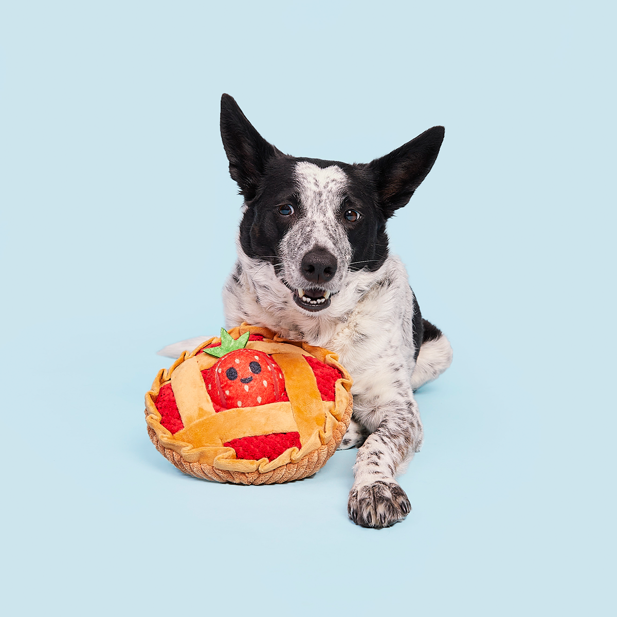 Strawberry Pie Plush Multi-Part + Enrichment Dog Toy - Image 3