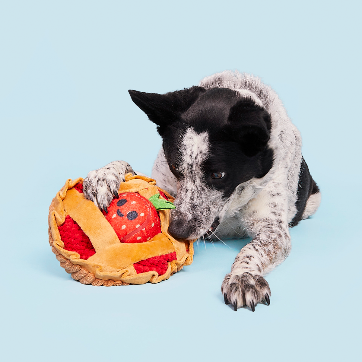 Strawberry Pie Plush Multi-Part + Enrichment Dog Toy - Image 2