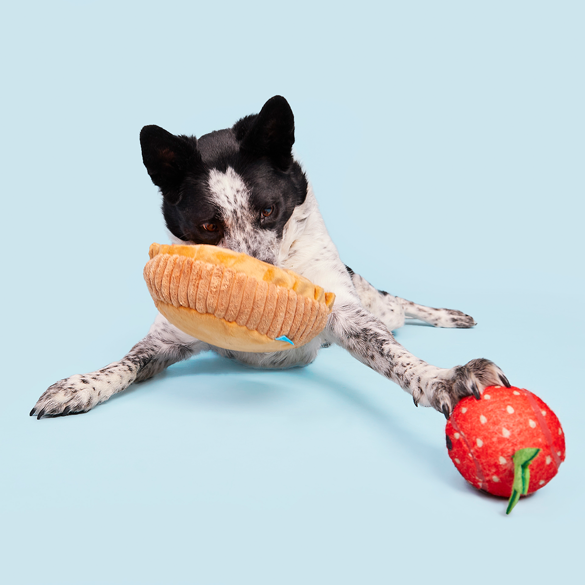 Strawberry Pie Plush Multi-Part + Enrichment Dog Toy - Image 4