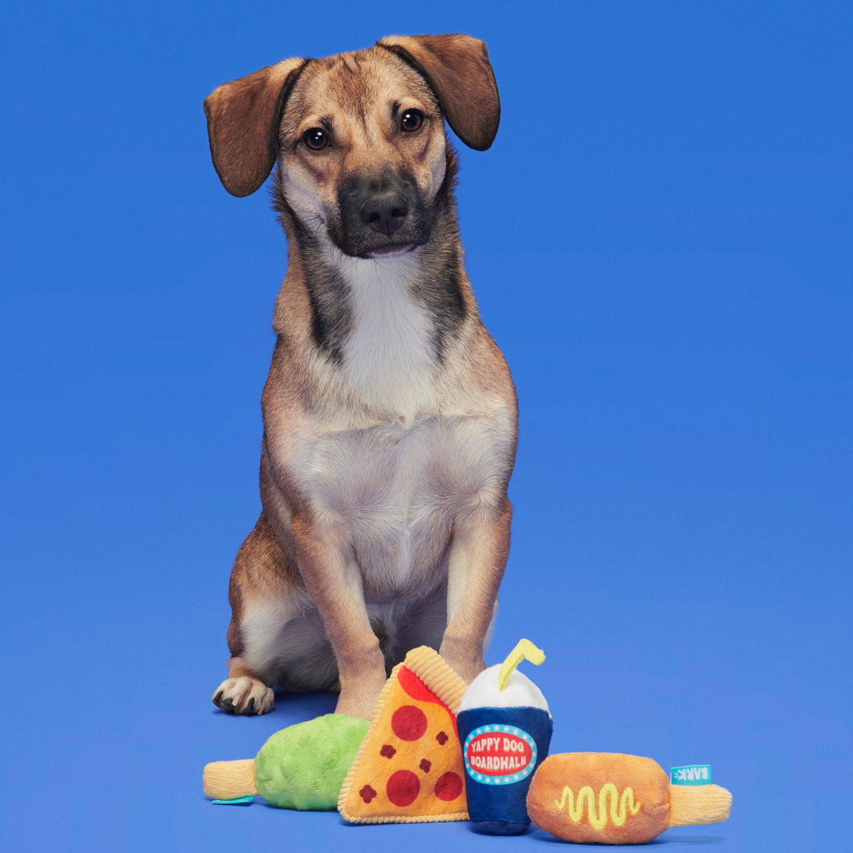 Thrill Squeaker Snacks Plush Multi-Part Dog Toy - Image 2