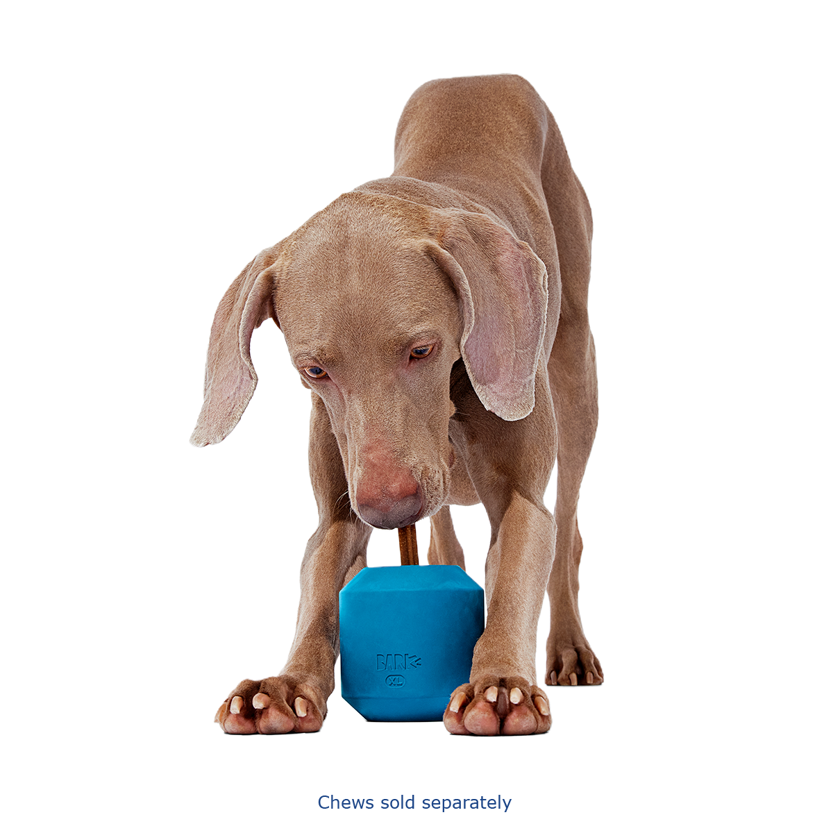 Tank Super Chewer Durable Enrichment Dog Toy - Image 11