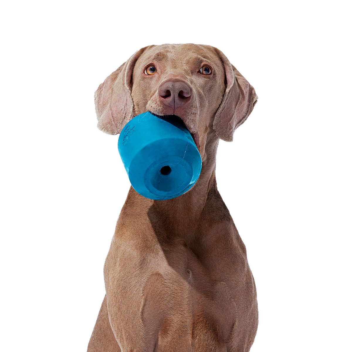 Tank Super Chewer Durable Enrichment Dog Toy - Image 12