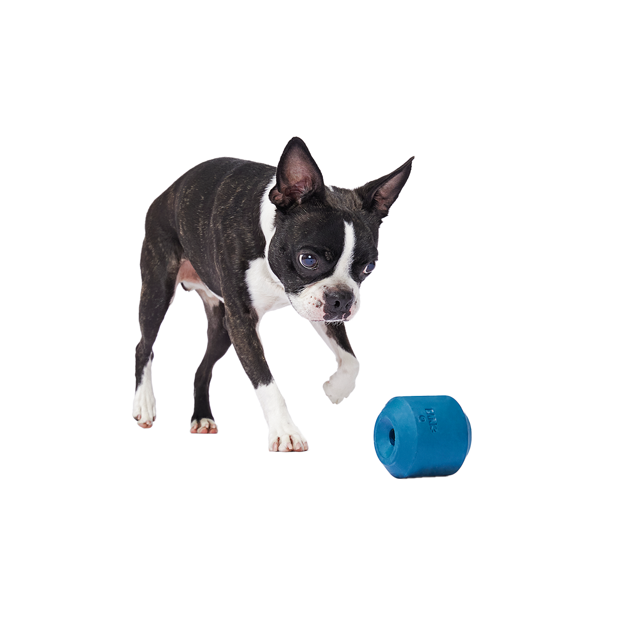Tank Super Chewer Durable Enrichment Dog Toy - Image 2