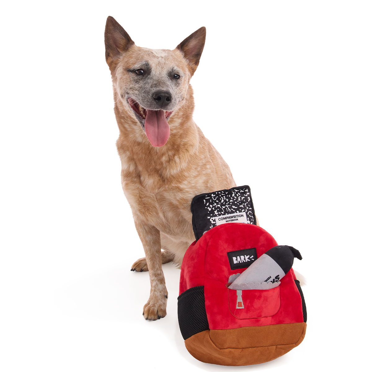 Teacher's Pet Backpack Plush Extra-Large + Multi-Part + Enrichment Dog Toy - Image 5