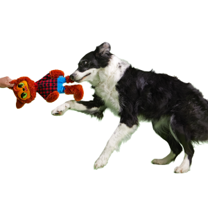 Teen Woof Plush Extra-Large + Tug Dog Toy