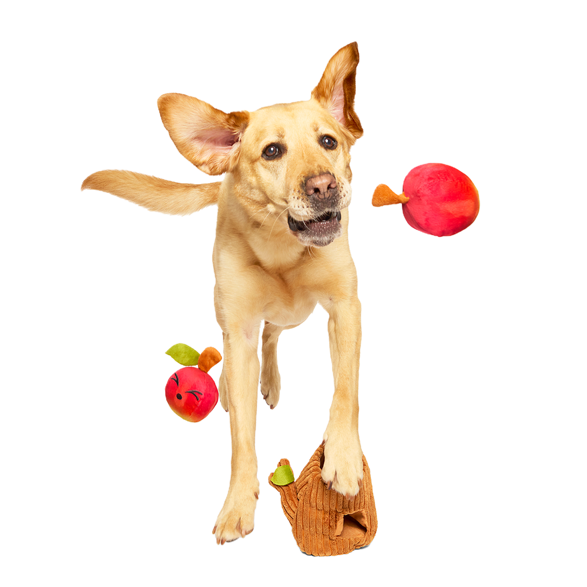 Them Apples Plush Multi-Part + Fetch + Enrichment Dog Toy - Image 3