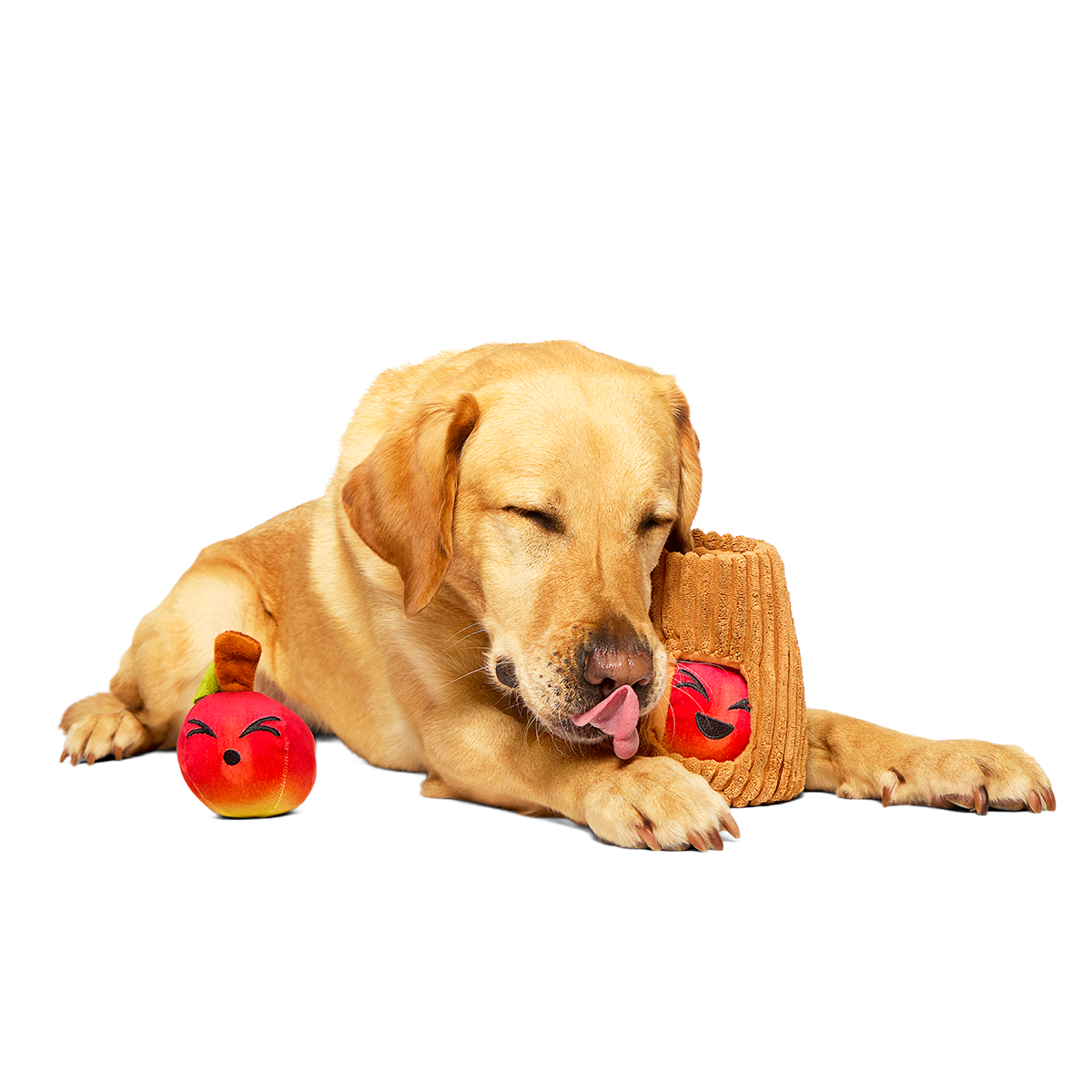 Them Apples Plush Multi-Part + Fetch + Enrichment Dog Toy - Image 2