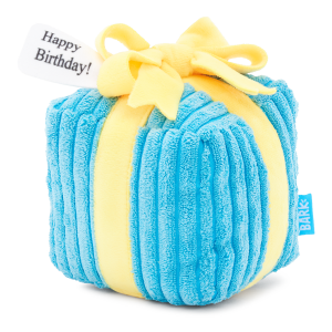 Throw A Party Present Plush 2-in-1 Dog Toy