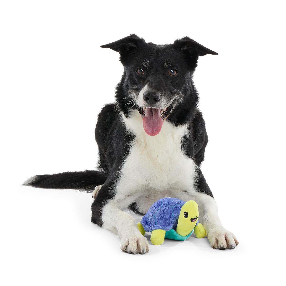 Tiago Tortuga Plush Tug Dog Toy - Image 3
