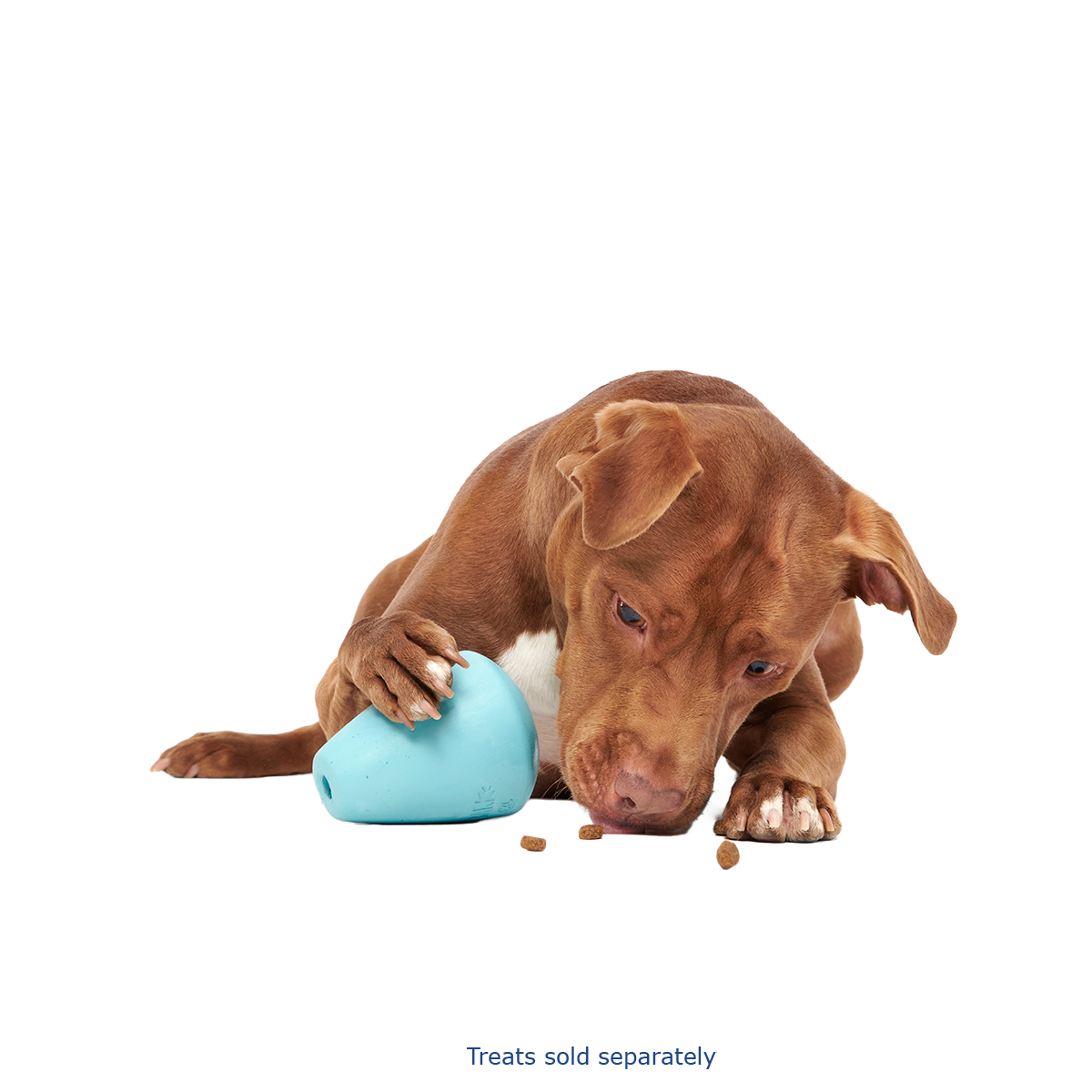 Titan Super Chewer Durable Enrichment Dog Toy - Image 3