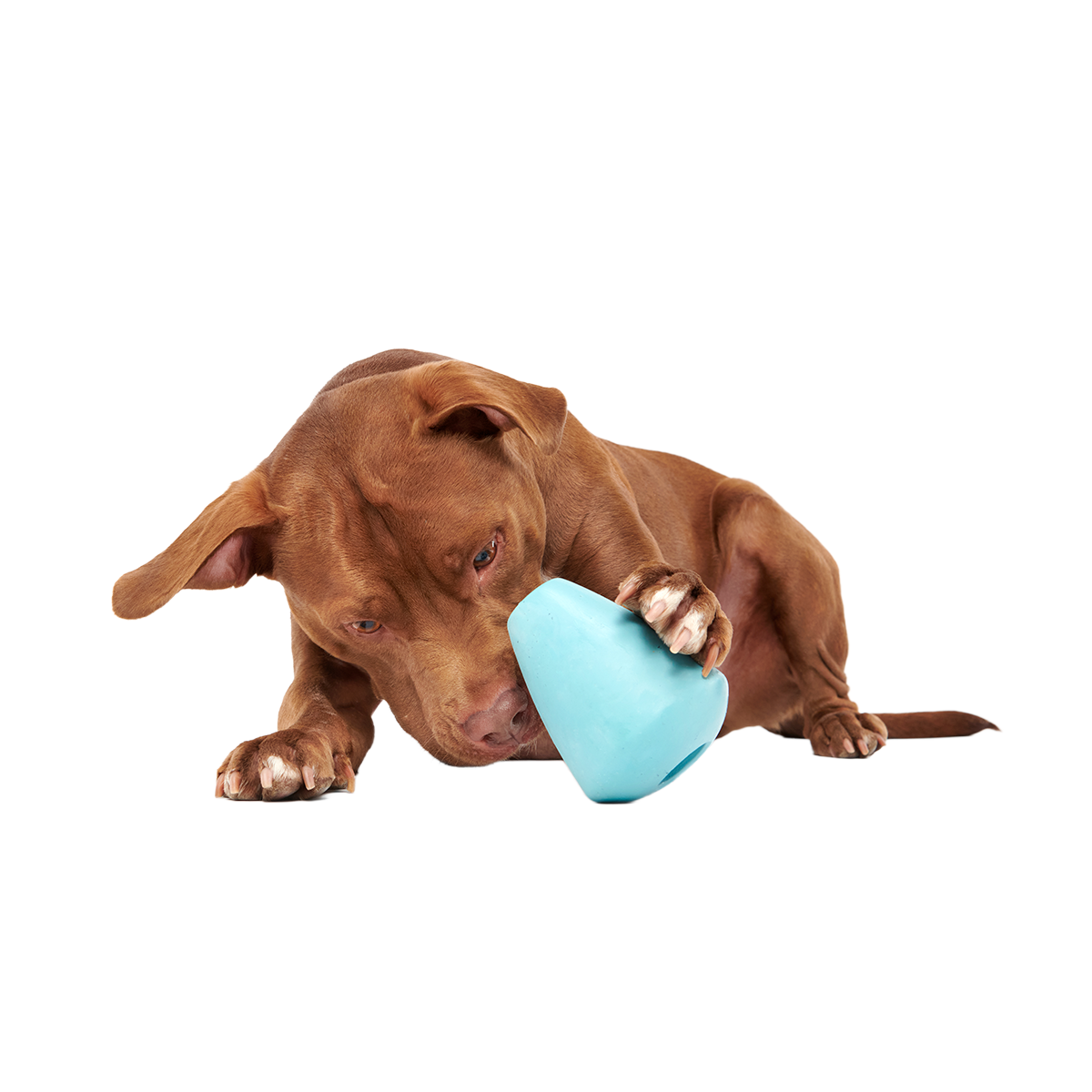 Titan Super Chewer Durable Enrichment Dog Toy - Image 2