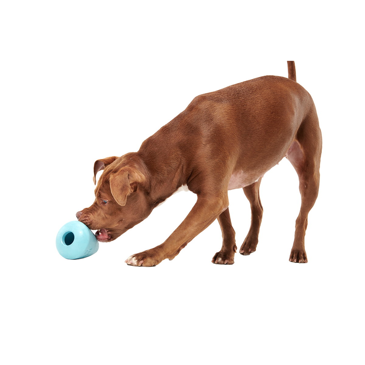 Titan Super Chewer Durable Enrichment Dog Toy - Image 4