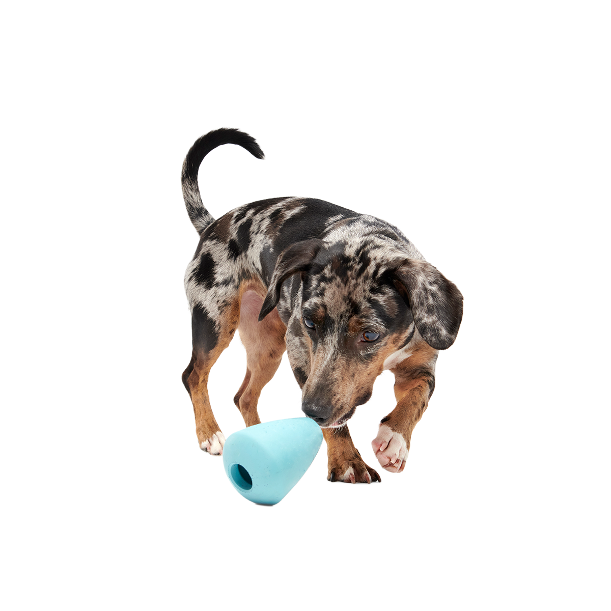Titan Super Chewer Durable Enrichment Dog Toy - Image 6