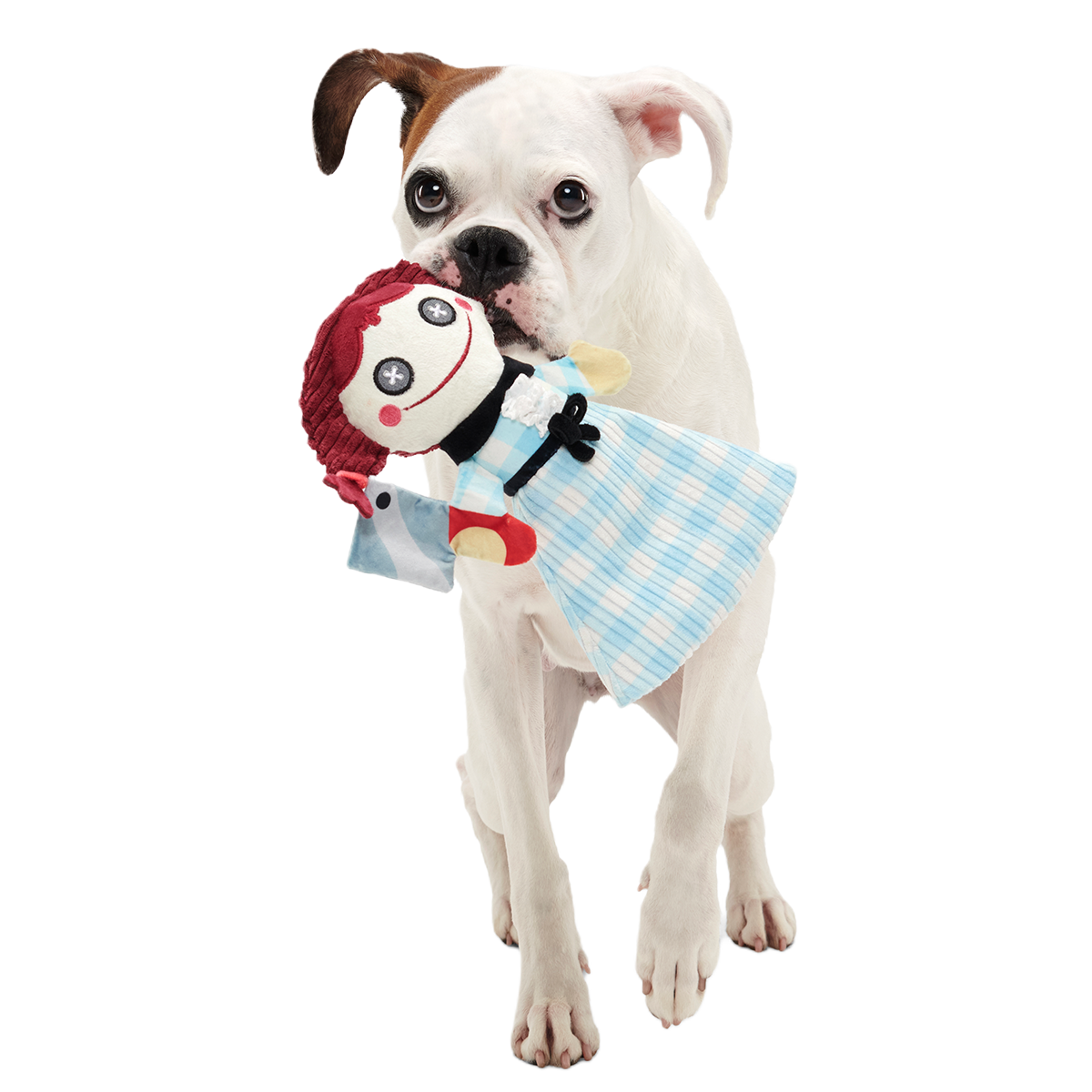 Tragedy Ann Plush Tug Dog Toy - Image 2