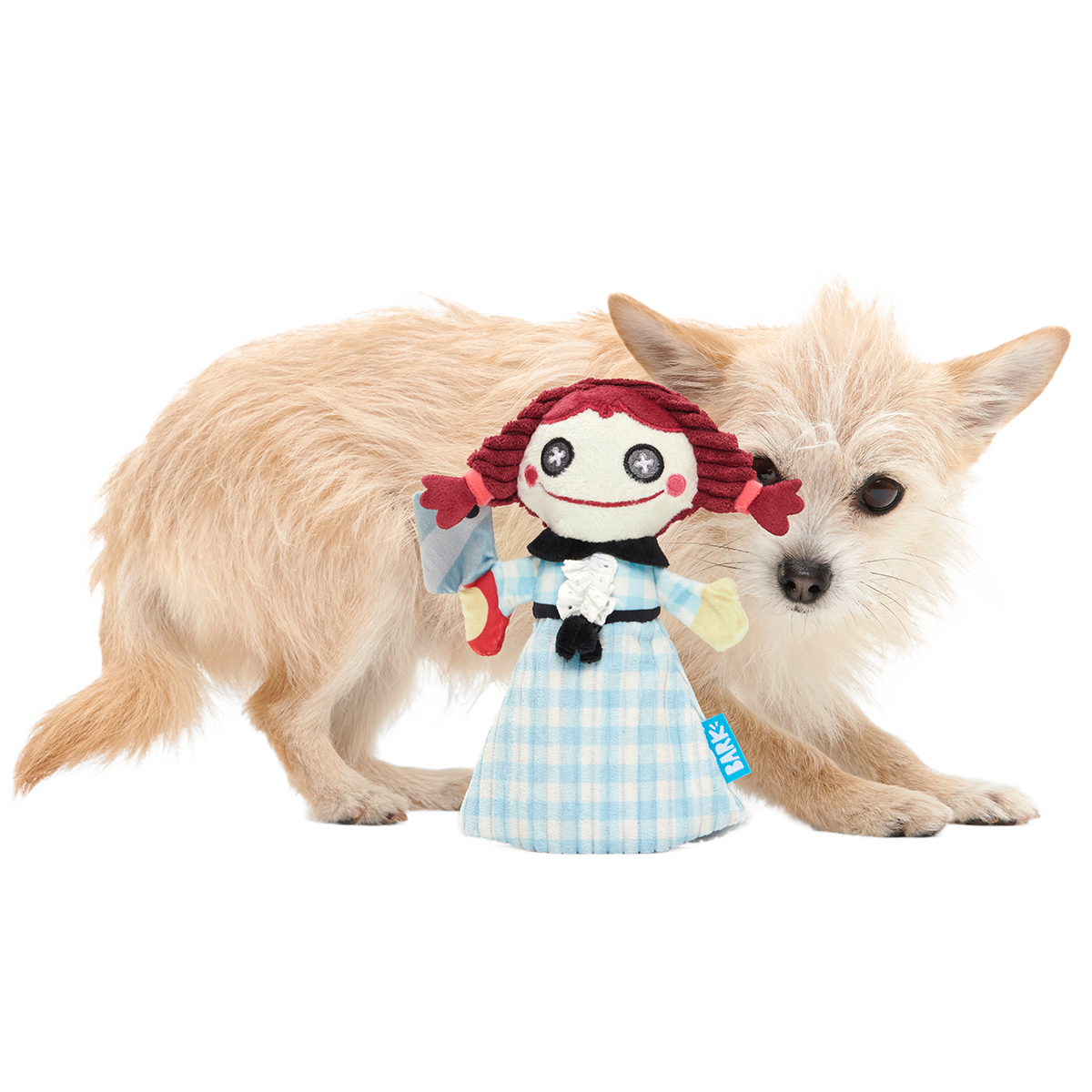 Tragedy Ann Plush Tug Dog Toy - Image 4