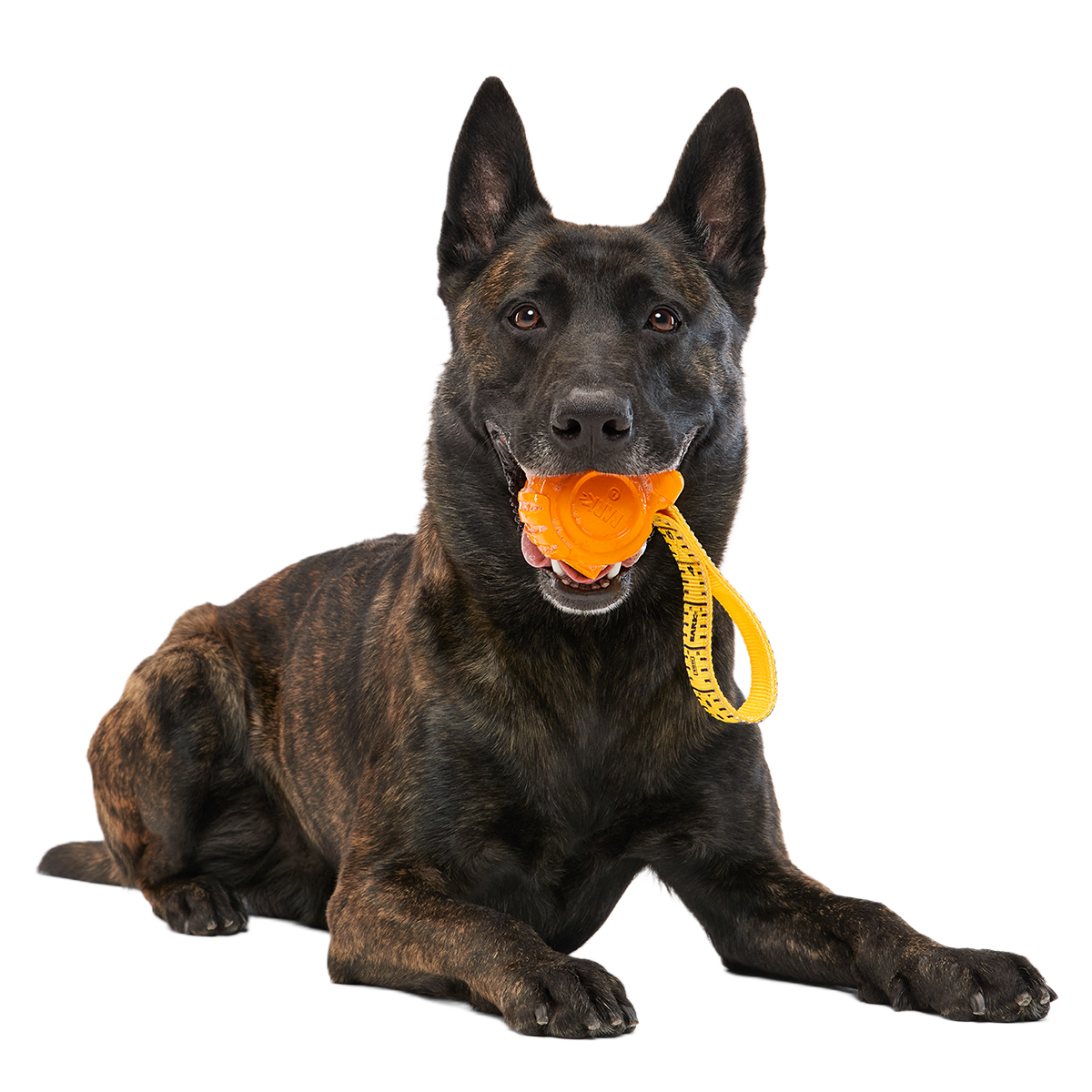 Tug Measure Super Chewer Durable Dog Toy - Image 5