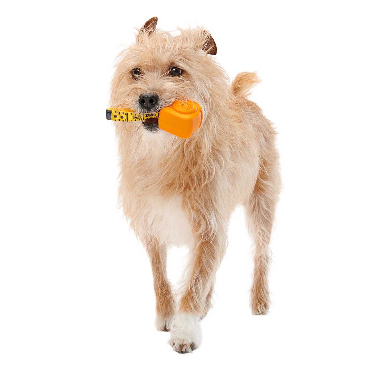 Tug Measure Super Chewer Durable Dog Toy - Image 3