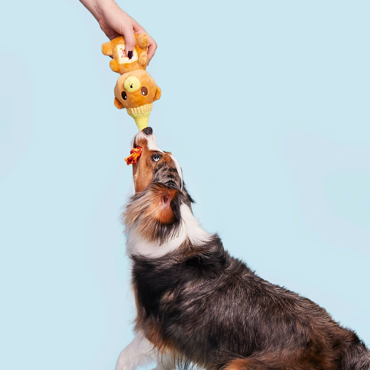 That's My Jam. Honey Plush Multi-Part + Enrichment Dog Toy - Image 3