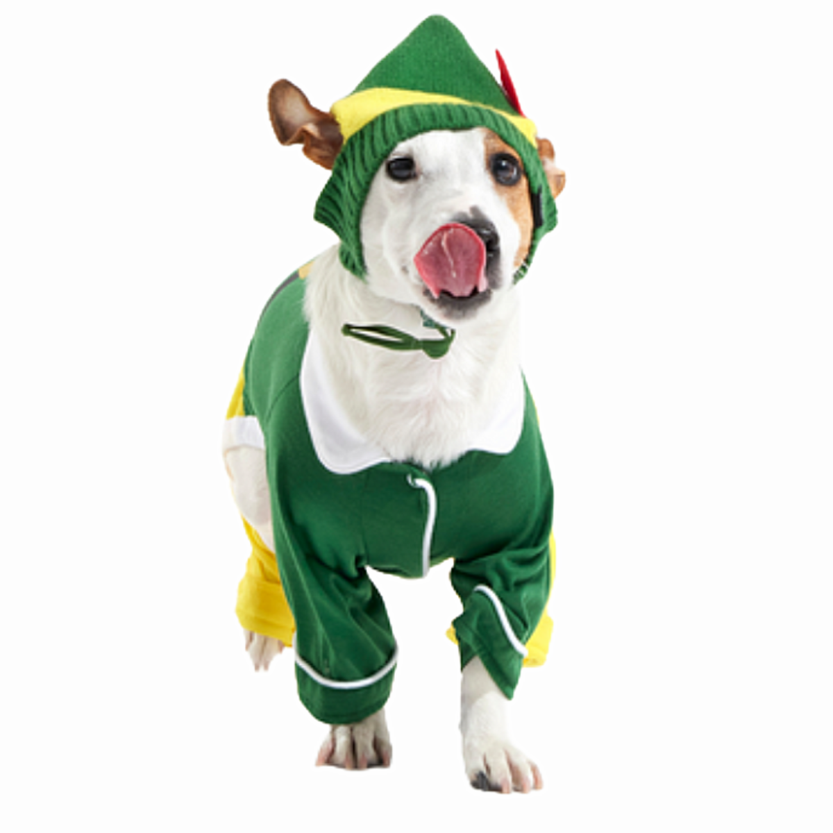 Buddy The Elf™ Dog Hat and Pajamas - Image 4