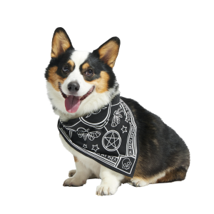 Witch Dog Bandana