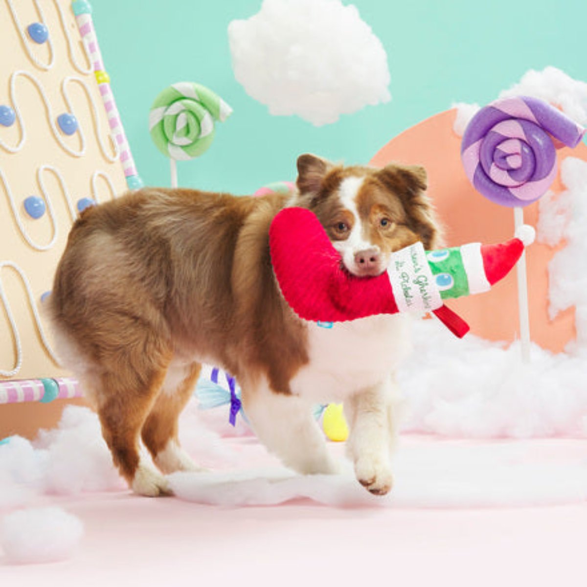 St Pickolas Plush Multi-Part Dog Toy - Image 3