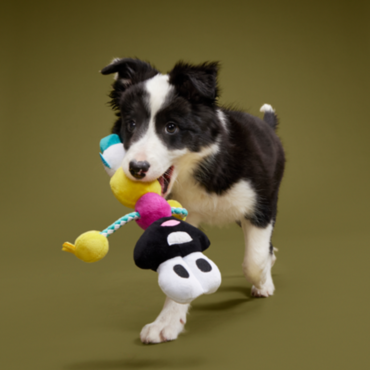 Mr. DNA Plush Tug Dog Toy - Image 3