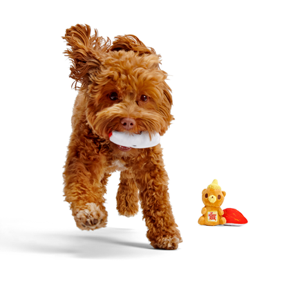 Squeaky New Year Bundle Plush Multi-Part Dog Toy - Image 3