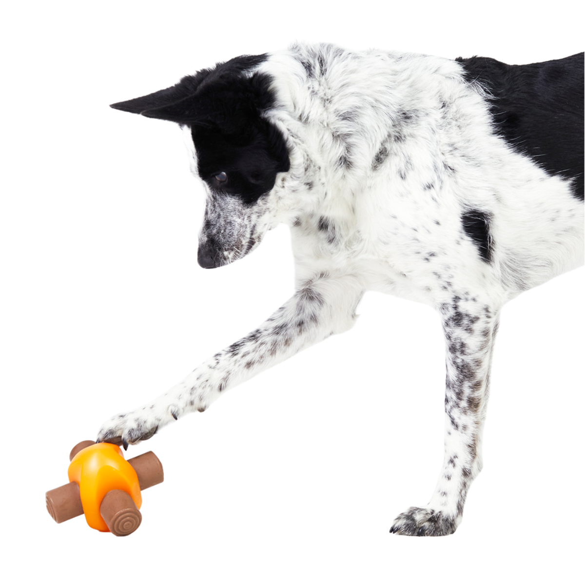 Chompfire Super Chewer Durable Gnaw Dog Toy - Image 3