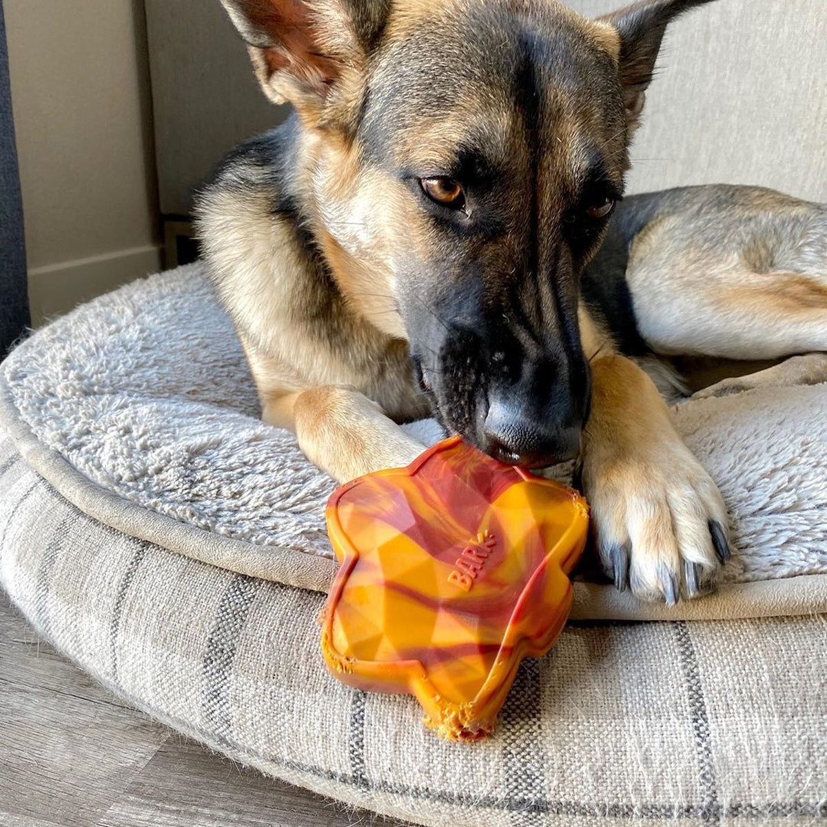 Mighty Maple Leaf Super Chewer Durable Gnaw Dog Toy - Image 5