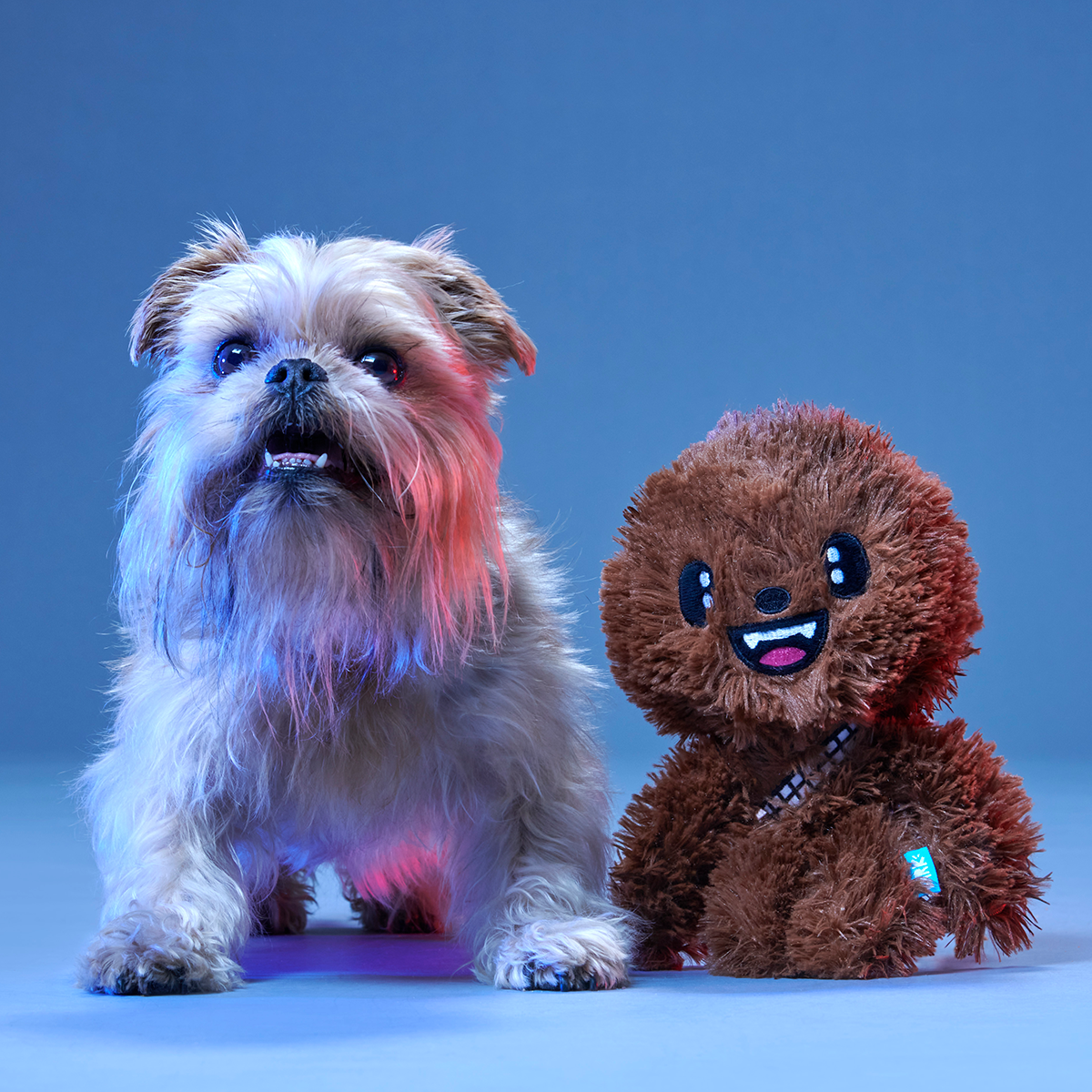 Star Wars™ BarkBox - One Month Gift Box - Image 8