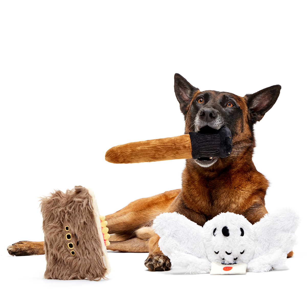 HARRY POTTER™ BarkBox - One Month Gift Box - Image 5
