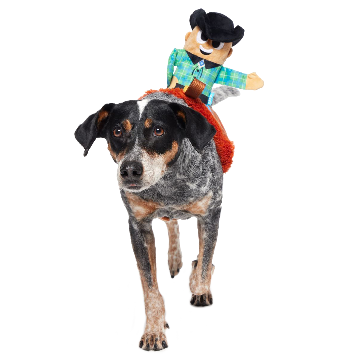 Rodeo Ralph Plush Wearable Tug Dog Toy - Image 5