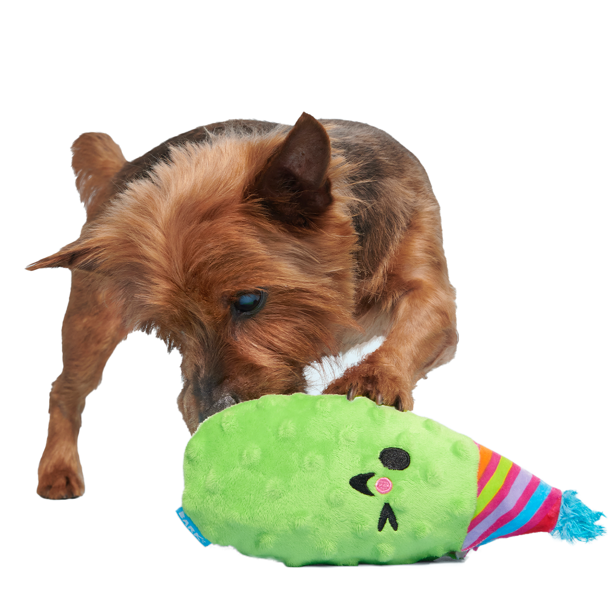 Party Pickle Pedro Plush Tug Dog Toy - Image 2